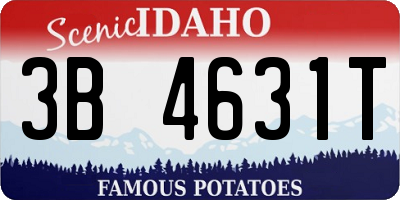 ID license plate 3B4631T