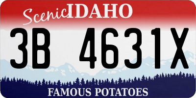 ID license plate 3B4631X
