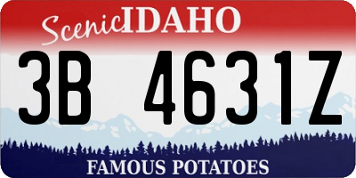 ID license plate 3B4631Z