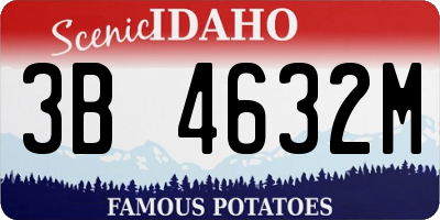 ID license plate 3B4632M
