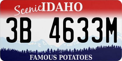 ID license plate 3B4633M