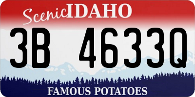 ID license plate 3B4633Q