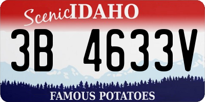 ID license plate 3B4633V