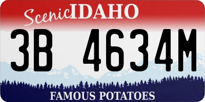 ID license plate 3B4634M