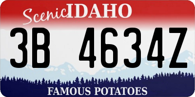 ID license plate 3B4634Z