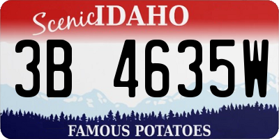 ID license plate 3B4635W