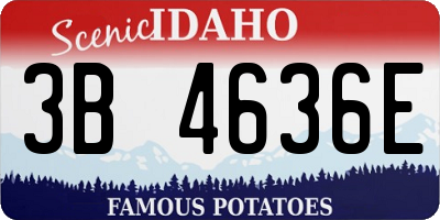 ID license plate 3B4636E