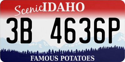 ID license plate 3B4636P