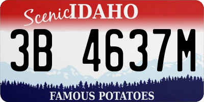 ID license plate 3B4637M