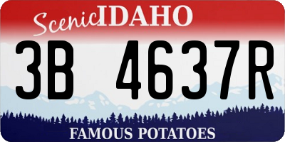 ID license plate 3B4637R