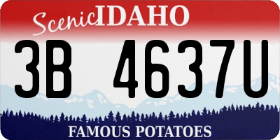 ID license plate 3B4637U