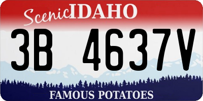 ID license plate 3B4637V