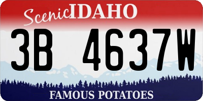 ID license plate 3B4637W