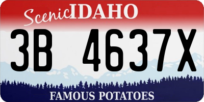 ID license plate 3B4637X