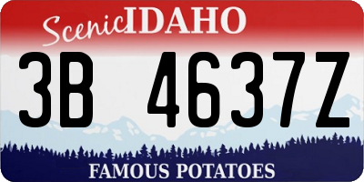 ID license plate 3B4637Z