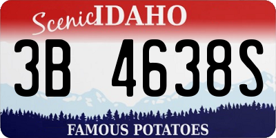 ID license plate 3B4638S