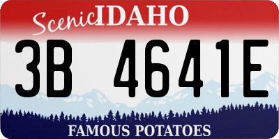 ID license plate 3B4641E
