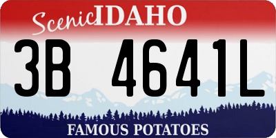 ID license plate 3B4641L