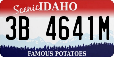 ID license plate 3B4641M
