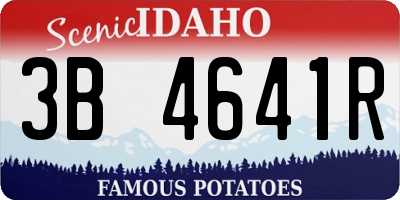 ID license plate 3B4641R