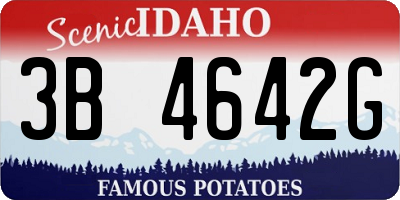 ID license plate 3B4642G