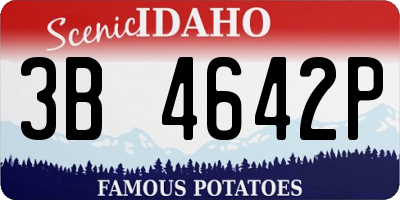 ID license plate 3B4642P