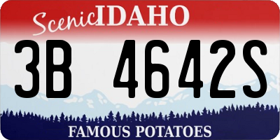 ID license plate 3B4642S