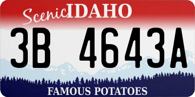ID license plate 3B4643A