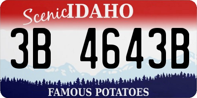 ID license plate 3B4643B