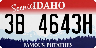 ID license plate 3B4643H