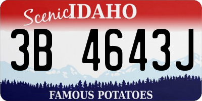 ID license plate 3B4643J