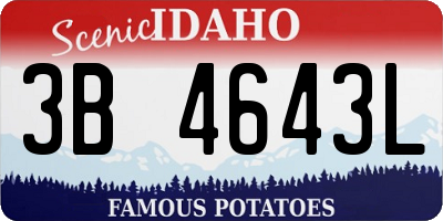 ID license plate 3B4643L