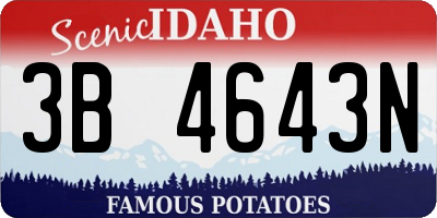 ID license plate 3B4643N