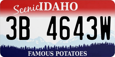ID license plate 3B4643W