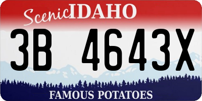 ID license plate 3B4643X