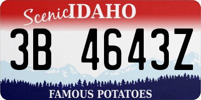 ID license plate 3B4643Z