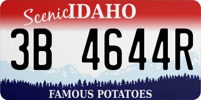 ID license plate 3B4644R