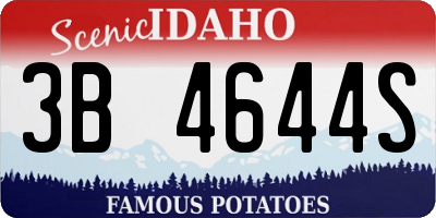 ID license plate 3B4644S