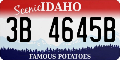 ID license plate 3B4645B