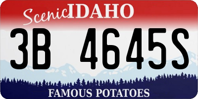 ID license plate 3B4645S