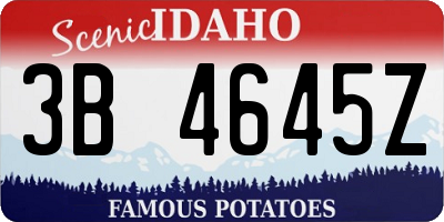 ID license plate 3B4645Z