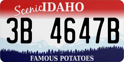 ID license plate 3B4647B