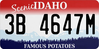 ID license plate 3B4647M