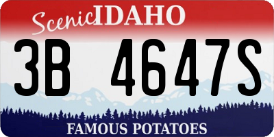 ID license plate 3B4647S