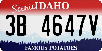 ID license plate 3B4647V