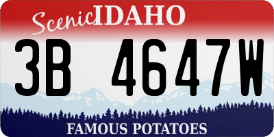 ID license plate 3B4647W