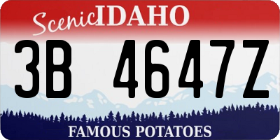 ID license plate 3B4647Z