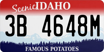 ID license plate 3B4648M