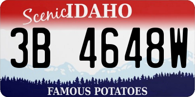 ID license plate 3B4648W
