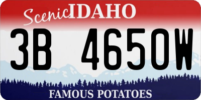 ID license plate 3B4650W